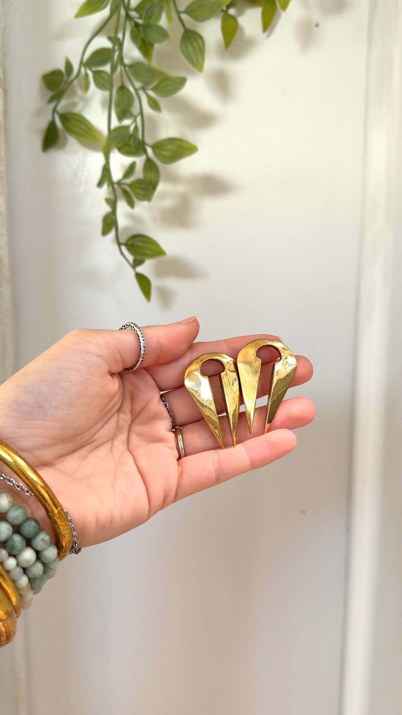 Protected • Ear Weights