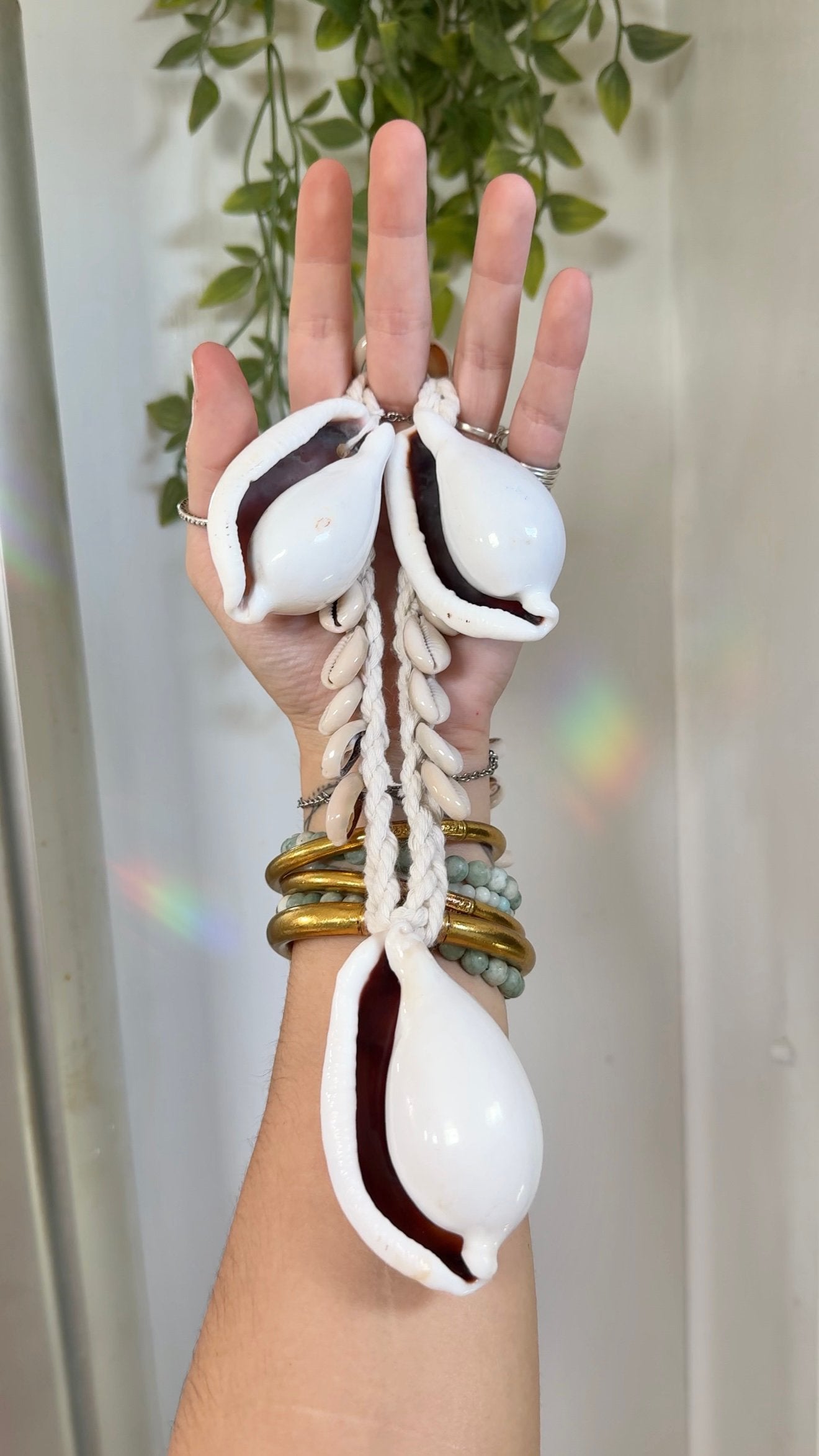 Siren Secrets • Amulet