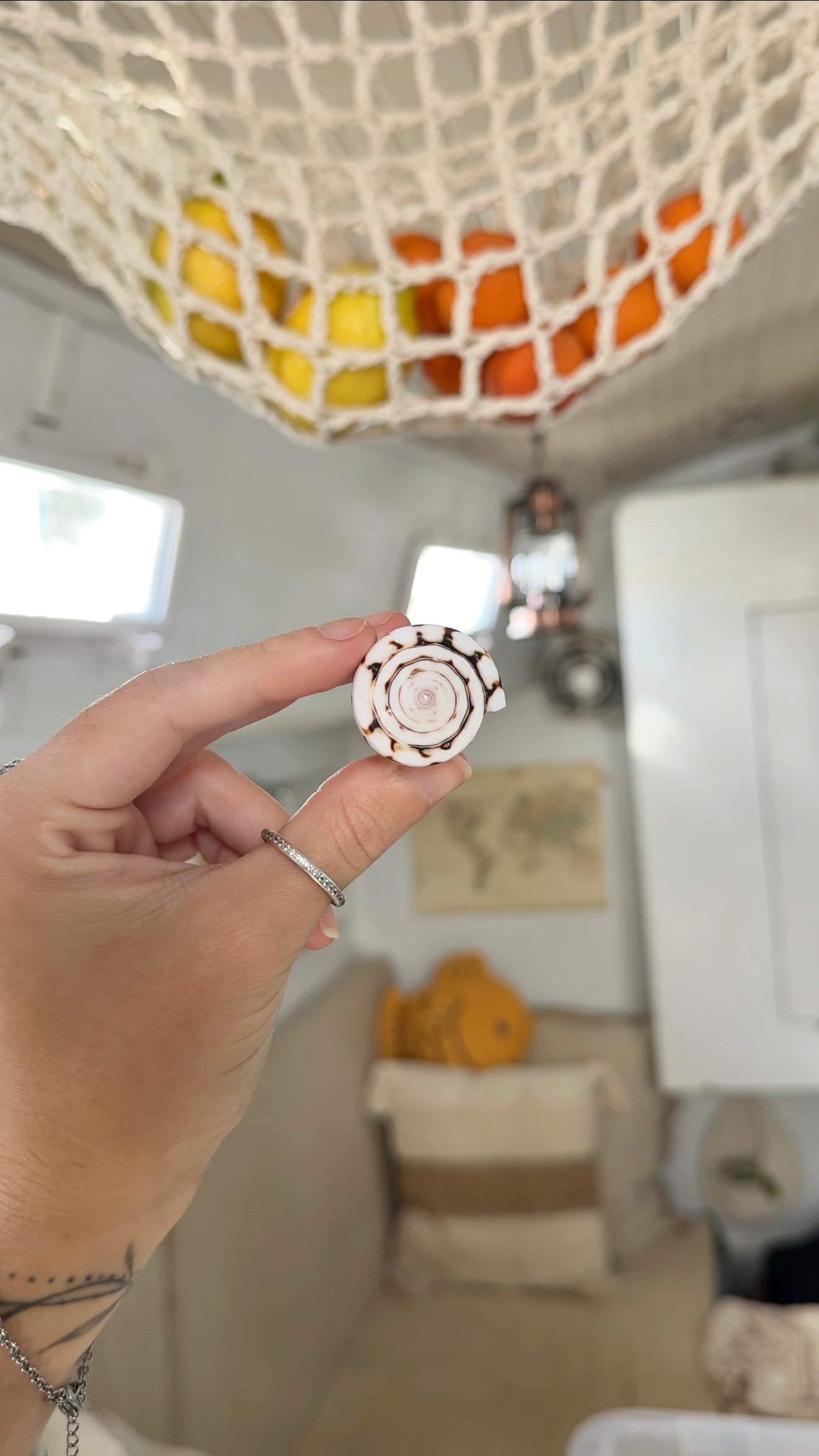 Mermaid • White Shell Ring