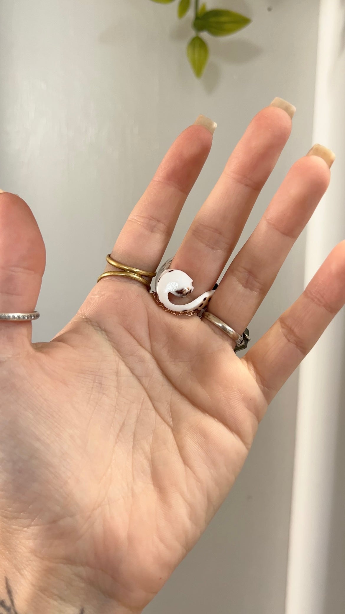 Spiral Seas • Shell Ring/Dread Bead