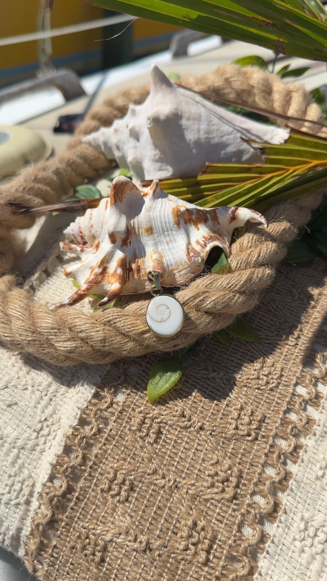Shiva Shell • Lucky Pendant