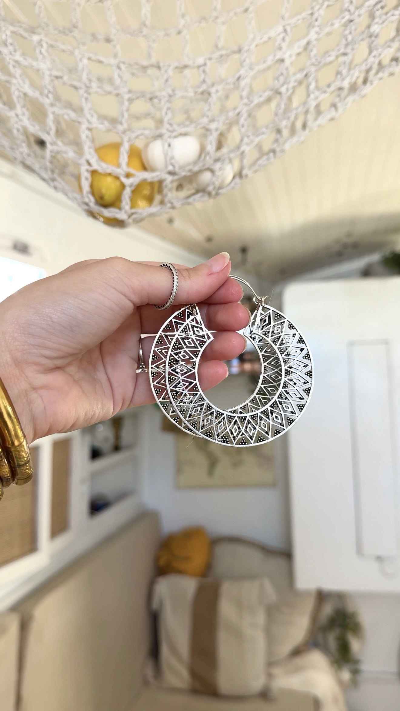 Silver Fish • Hoops
