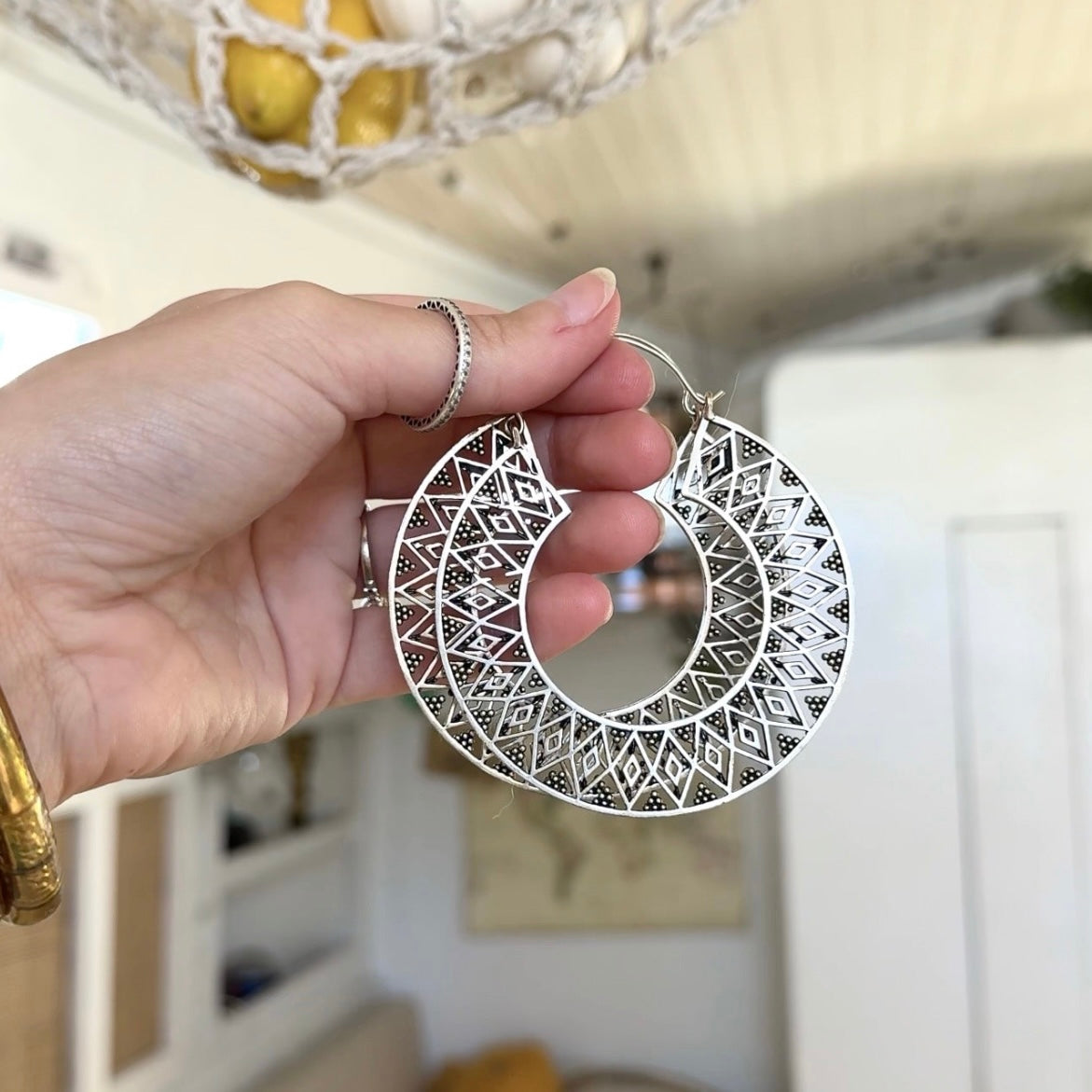 Silver Fish • Hoops