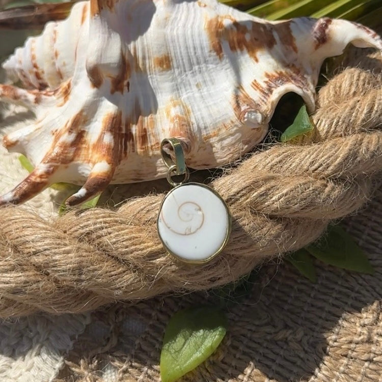 Shiva Shell • Lucky Pendant